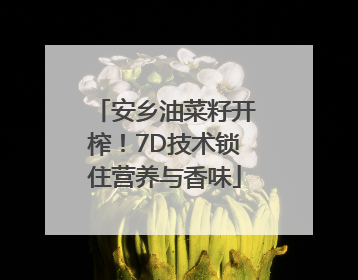 安乡油菜籽开榨！7D技术锁住营养与香味
