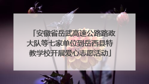 安徽省岳武高速公路路政大队等七家单位到岳西县特教学校开展爱心志愿活动