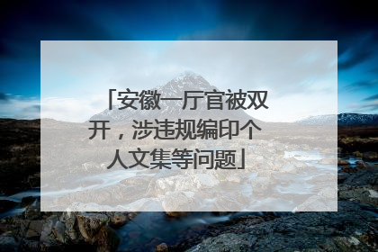 安徽一厅官被双开，涉违规编印个人文集等问题