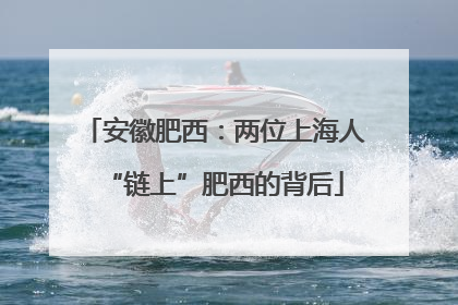 安徽肥西：两位上海人“链上”肥西的背后