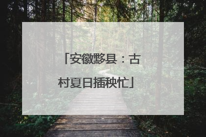 安徽黟县：古村夏日插秧忙