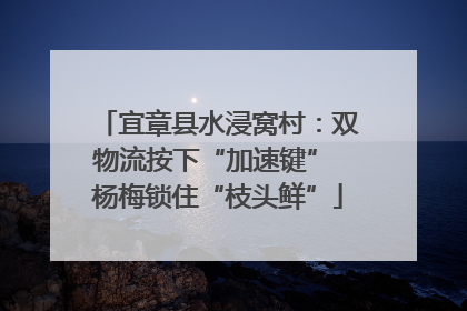 宜章县水浸窝村：双物流按下“加速键” 杨梅锁住“枝头鲜”