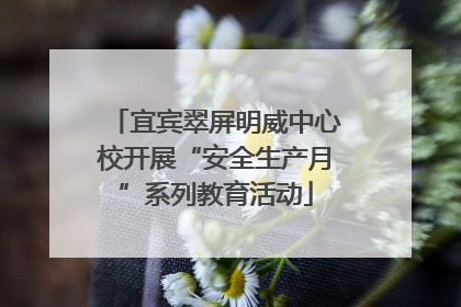 宜宾翠屏明威中心校开展“安全生产月”系列教育活动