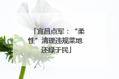 宜昌点军：“柔性”清理违规菜地 还绿于民