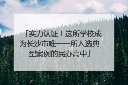 实力认证！这所学校成为长沙市唯一一所入选典型案例的民办高中