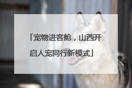 宠物进客舱，山西开启人宠同行新模式