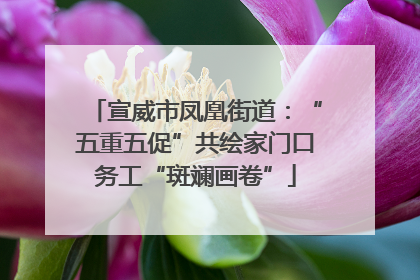 宣威市凤凰街道：“五重五促”共绘家门口务工“斑斓画卷”