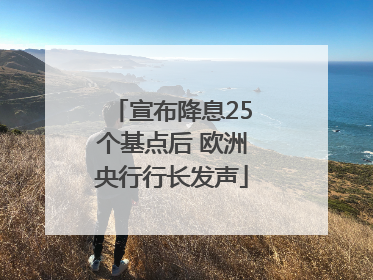 宣布降息25个基点后 欧洲央行行长发声
