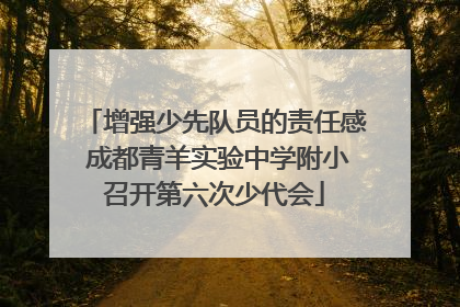 增强少先队员的责任感 成都青羊实验中学附小召开第六次少代会