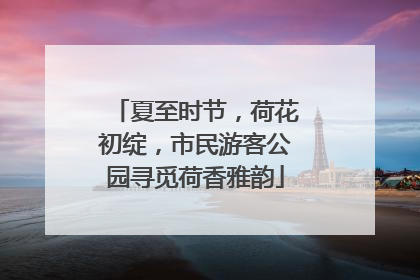 夏至时节，荷花初绽，市民游客公园寻觅荷香雅韵