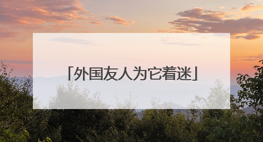 外国友人为它着迷