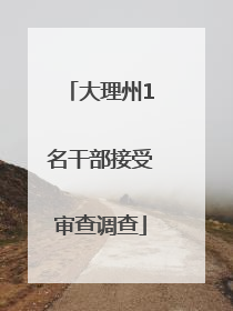 大理州1名干部接受审查调查