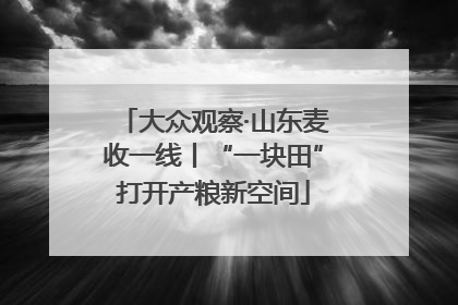 大众观察·山东麦收一线丨“一块田”打开产粮新空间
