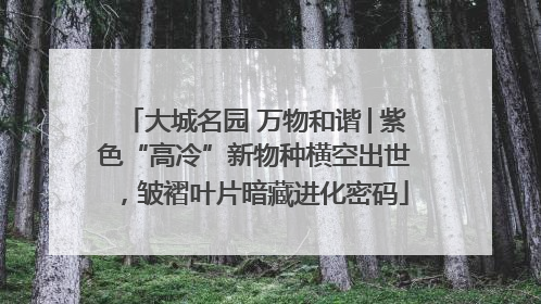 大城名园 万物和谐│紫色“高冷”新物种横空出世，皱褶叶片暗藏进化密码