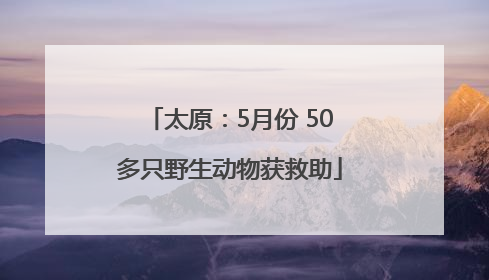 太原：5月份 50多只野生动物获救助