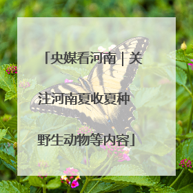 央媒看河南｜关注河南夏收夏种 野生动物等内容