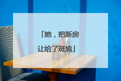 她，把新房让给了斑鸠