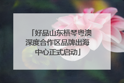 好品山东横琴粤澳深度合作区品牌出海中心正式启动