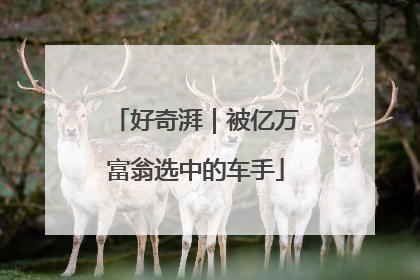 好奇湃｜被亿万富翁选中的车手