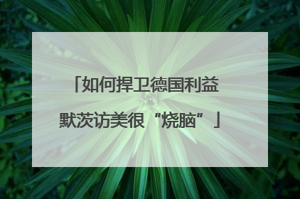 如何捍卫德国利益 默茨访美很“烧脑”