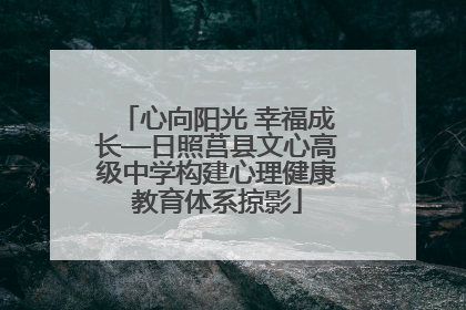 心向阳光 幸福成长—日照莒县文心高级中学构建心理健康教育体系掠影