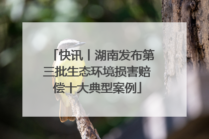 快讯丨湖南发布第三批生态环境损害赔偿十大典型案例
