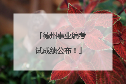 德州事业编考试成绩公布！