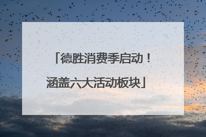 德胜消费季启动！涵盖六大活动板块