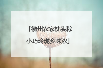 徽州农家枕头粽 小巧玲珑乡味浓