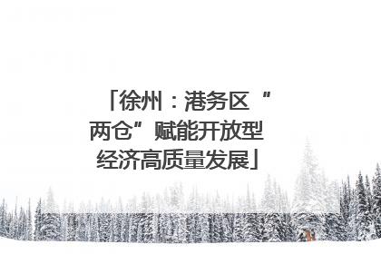 徐州：港务区“两仓”赋能开放型经济高质量发展