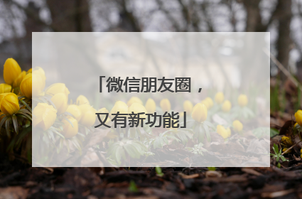 微信朋友圈，又有新功能