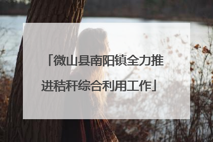 微山县南阳镇全力推进秸秆综合利用工作
