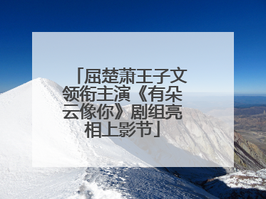 屈楚萧王子文领衔主演《有朵云像你》剧组亮相上影节