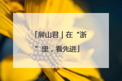 屏山君｜在“浙”里，看先进