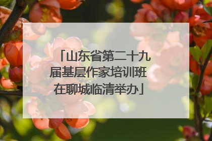 山东省第二十九届基层作家培训班在聊城临清举办