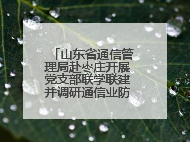 山东省通信管理局赴枣庄开展党支部联学联建并调研通信业防汛准备工作