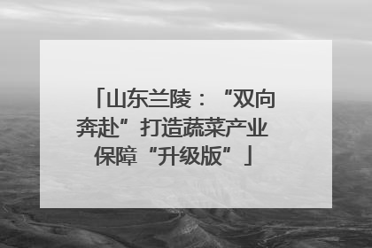 山东兰陵：“双向奔赴”打造蔬菜产业保障“升级版”