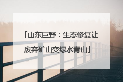 山东巨野：生态修复让废弃矿山变绿水青山
