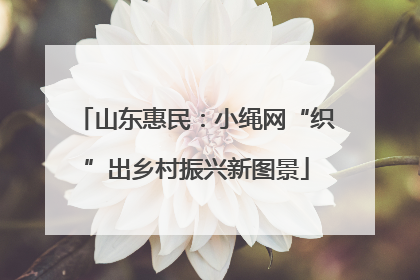 山东惠民：小绳网“织”出乡村振兴新图景