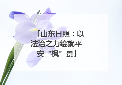 山东日照：以法治之力绘就平安“枫”景