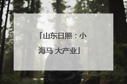 山东日照：小海马 大产业