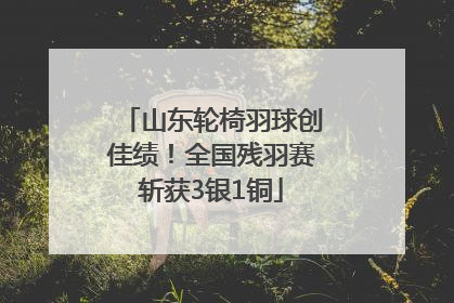 山东轮椅羽球创佳绩！全国残羽赛斩获3银1铜