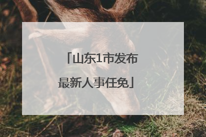 山东1市发布最新人事任免