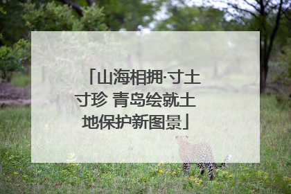 山海相拥·寸土寸珍 青岛绘就土地保护新图景
