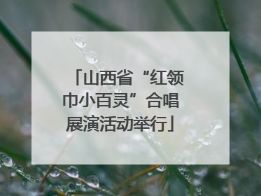 山西省“红领巾小百灵”合唱展演活动举行