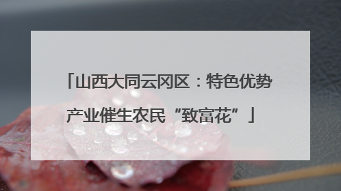 山西大同云冈区：特色优势产业催生农民“致富花”