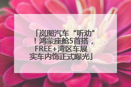 岚图汽车“听劝”！鸿蒙座舱5首搭，FREE+湾区车展实车内饰正式曝光