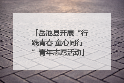 岳池县开展“行践青春 童心同行”青年志愿活动