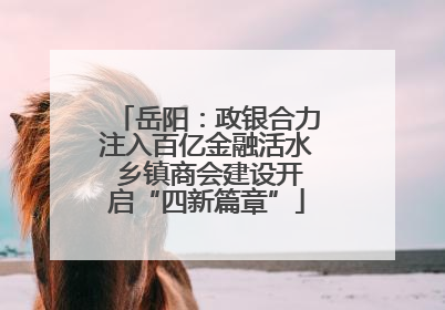 岳阳：政银合力注入百亿金融活水 乡镇商会建设开启“四新篇章”