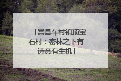 嵩县车村镇顶宝石村：密林之下有诗意有生机